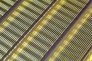 membrane-coating
